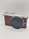 Panasonic LUMIX Mirrorless Camera Brown DMC-GM1S ()