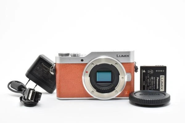 Panasonic LUMIX DC-GF9 Mirrorless Camera Body with Battery & Accessories Used