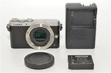 819Panasonic Lumix GM1 Siler