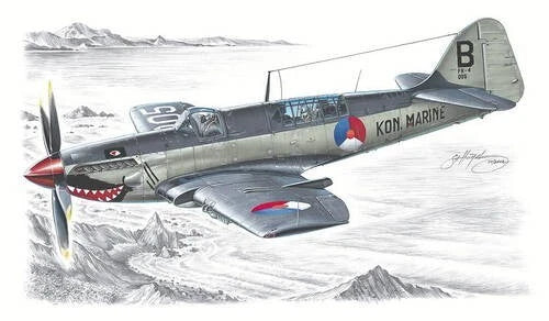 1/48 Fairey Firefly Mk.IV model plane with Kon Marine tail and wing markings
