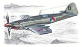 1/48 Fairey Firefly Mk.IV model plane with Kon Marine tail and wing markings