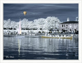 Converted 720nm Infrared IR Panasonic DMC-G2 Camera 139