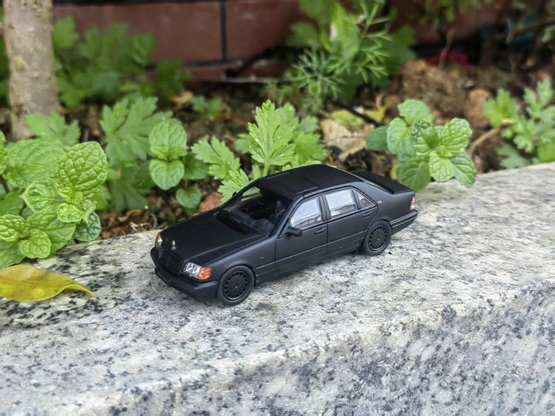 WTX 1:64 W140 "Tiger Head" Black Alloy Car Model Collectible Black