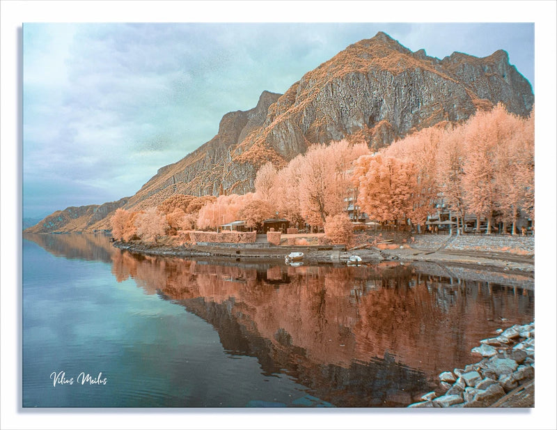 Converted 580nm Infrared IR Panasonic DMC-G10 12MP  M43 Mirrorless Camera 149