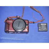 Panasonic LUMIX DMC-GF3 Mirrorless body brown w/body cap,battery,battery charger