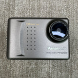 Vintage Panasonic PV-DC1000 Powers On & Captures Images! Very Clean!