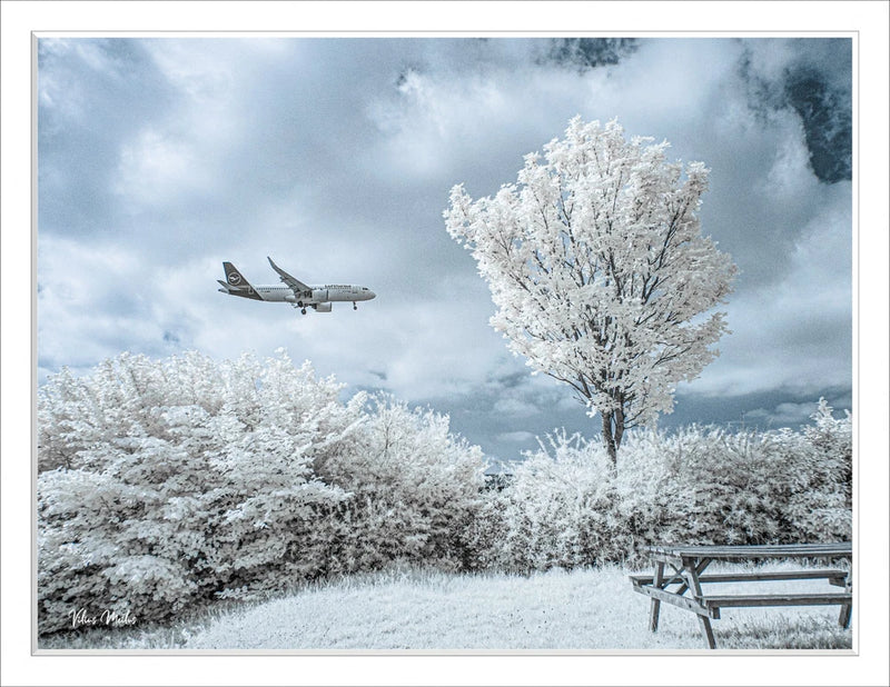 Converted Infrared IR 720nm Panasonic Lumix DMC-G3 Camera 8GB SD Card 150