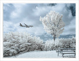 Converted Infrared IR 720nm Panasonic Lumix DMC-G3 Camera 8GB SD Card 150