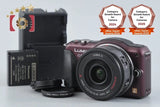 Panasonic LUMIX DMC-GF5 Brown 12.1 MP 14-42 Lens [Japanese Language Only]