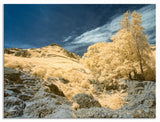 Converted 580nm Infrared IR Panasonic DMC-GF3 12MP Mirrorless  Camera 76