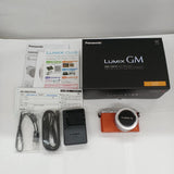 PANASONIC DMC-GM1 digital camera