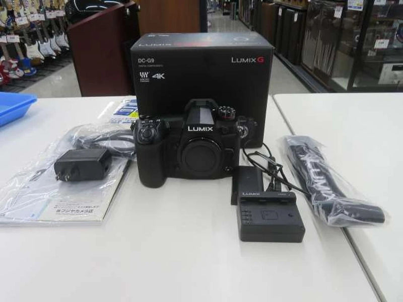 PANASONIC Mirrorless SLR Dc-g9 Pro Used