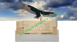 Turkey Vulture 64