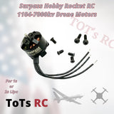 Surpass Hobby brushless RC motor with wire leads and mounting screws