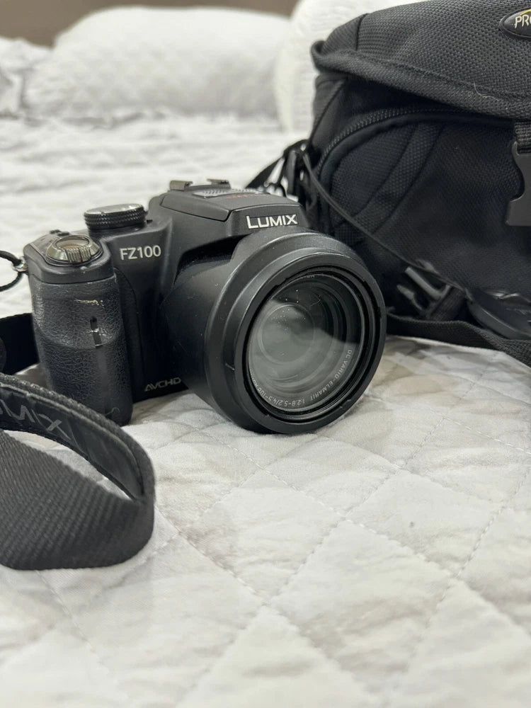 Sony LUMIX FZ100
