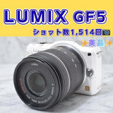 Panasonic Lumix GF5 Mirrorless Camera Smartphone Transfer Shutter Count Used Fro