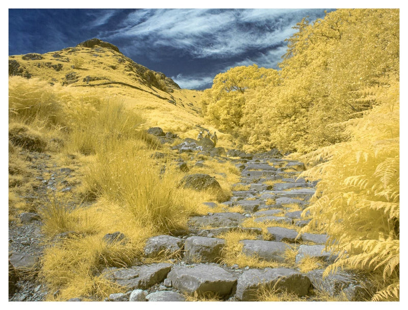 Converted Infrared IR Full Spectrum Panasonic G3 Camera 14-42mm Lens 128