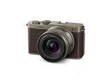 Panasonic Full Size Mirrorless SLR Camera Lumix DC-S9N-N Wide Angle Zoom Lens