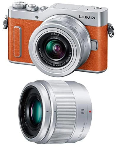 Panasonic Lumix GF10 Mirrorless Camera with Double Lens Kit (Standard Zoom Lens