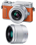 Panasonic Lumix GF10 Mirrorless Camera with Double Lens Kit (Standard Zoom Lens