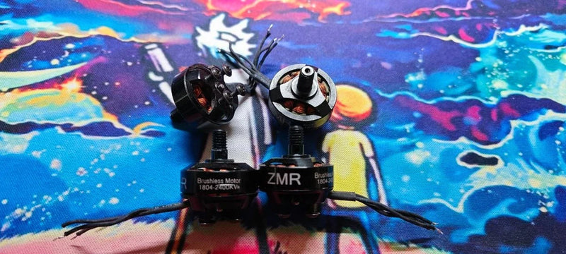 ZMR FPV brushless RC drone with two propeller motors and camera module on frame