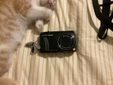 Black Panasonic Lumix DMC-ZS20 digital camera with 20x optical zoom