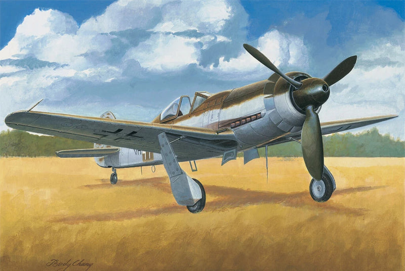 HobbyBoss 1/48 Ta152C-1 plastic model kit of WWII fighter plane, green and gray