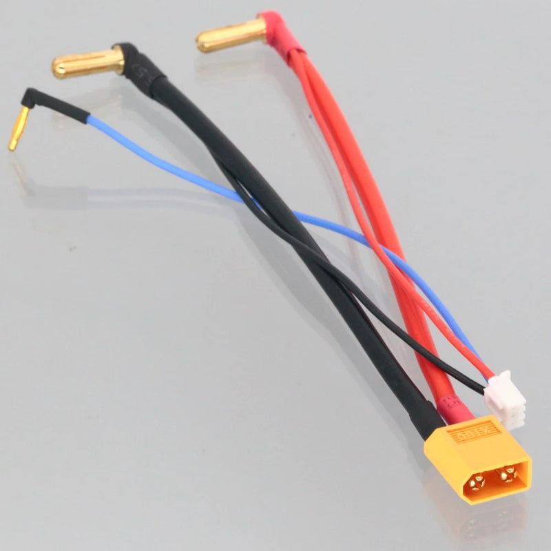 5mm Bullet to XT60 Male  2S JST-XH Balanced Wire Hard case Lipo Battery Charger