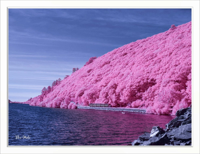 Converted Infrared IR Full Spectrum Panasonic G5 Camera  142
