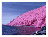 Converted Infrared IR Full Spectrum Panasonic G5 Camera  142